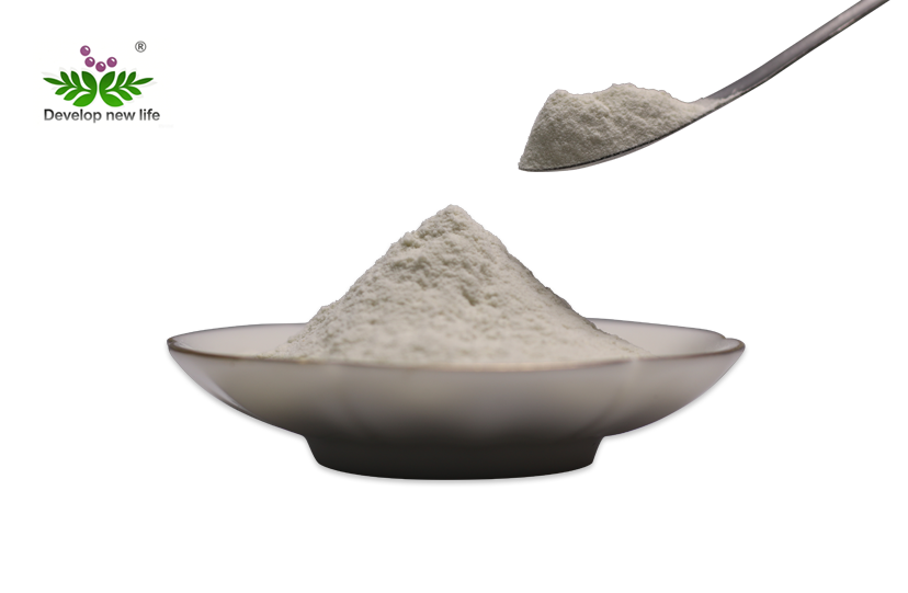 Best Nattokinase Powder